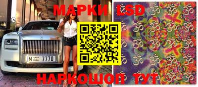 молекула духа Пенза