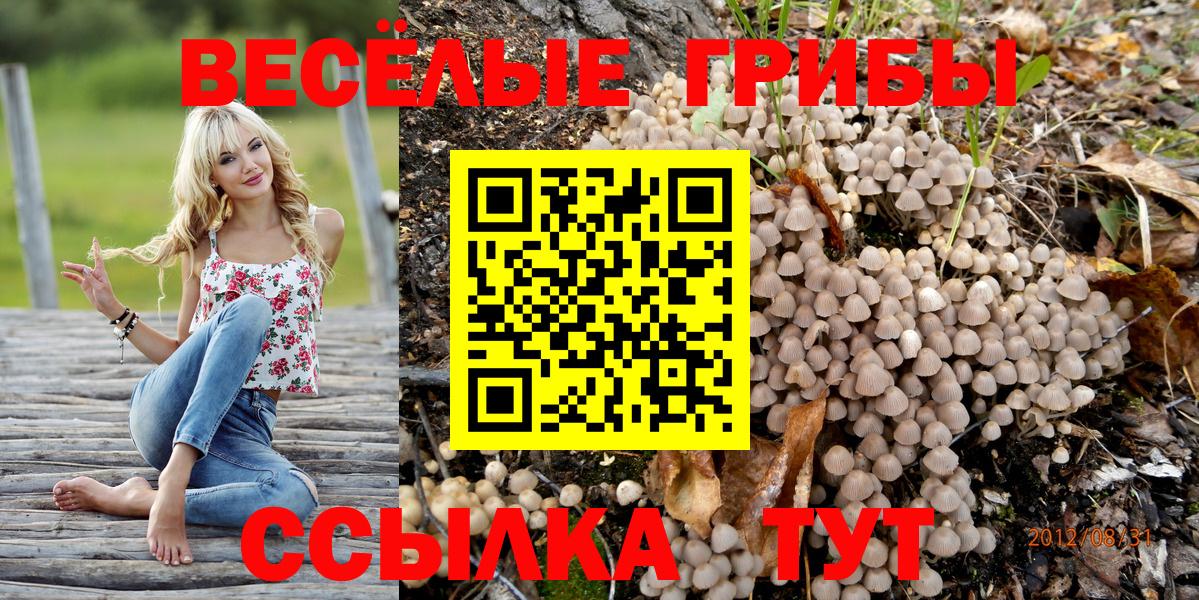 Галлюциногенные грибы Magic Shrooms Ростов Великий