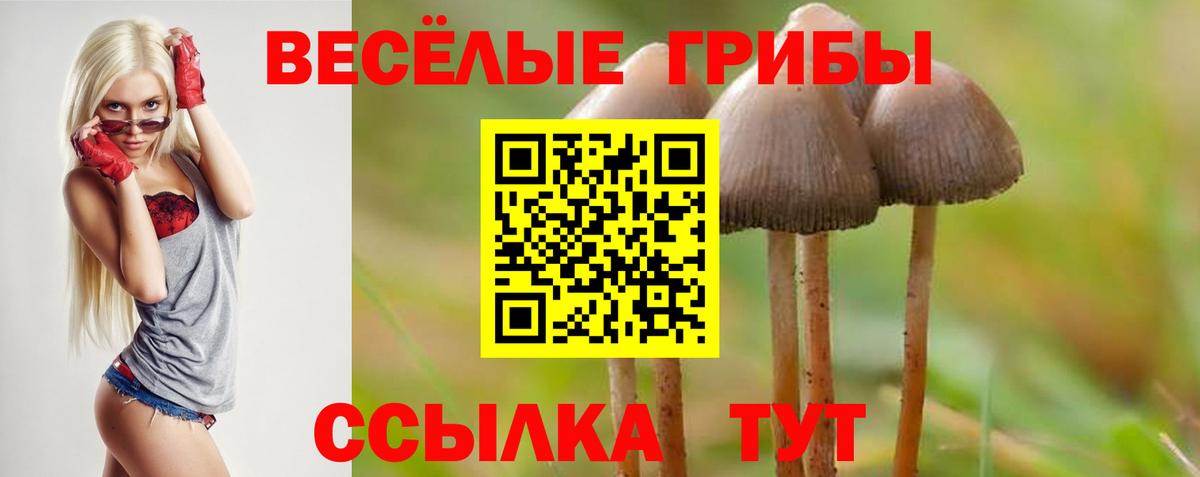 Псилоцибиновые грибы Magic Shrooms  Вход с VPN  Ростов Великий  Галлюциногенные грибы ЛСД 